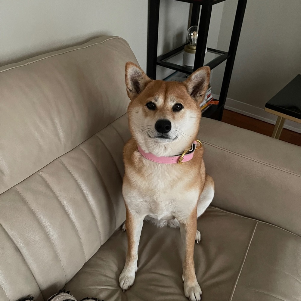 Meet your Posher, Brenna